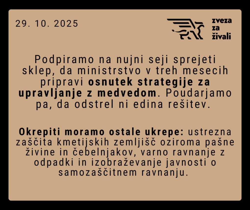 Upravljanje z medvedi: lahko konflikte res reši le odstrel?
