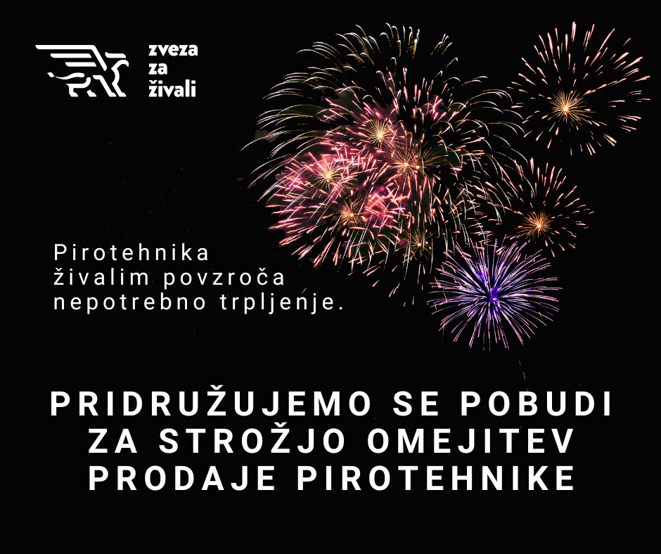 Pobuda za strožjo omejitev pirotehnike