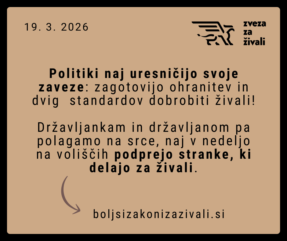 Zaščita živali v očeh politike: dobrobit živali ni samoumevna