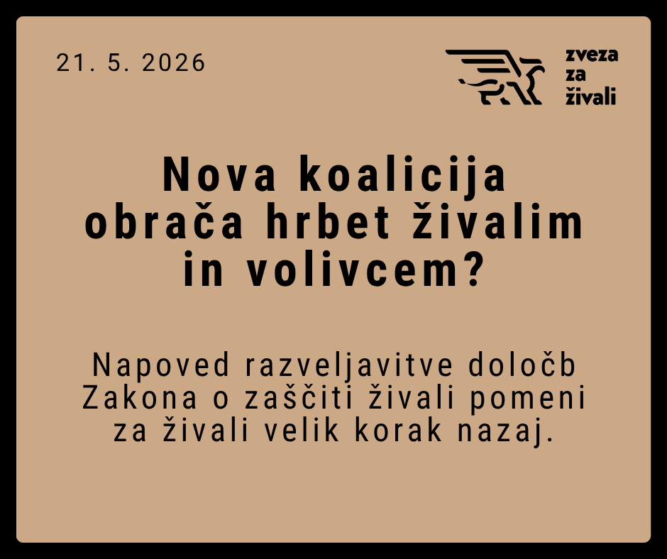 Nova koalicija obrača hrbet živalim in volivcem?