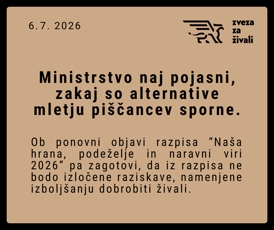 Ministrstvo naj pojasni, zakaj so alternative mletju piščancev sporne